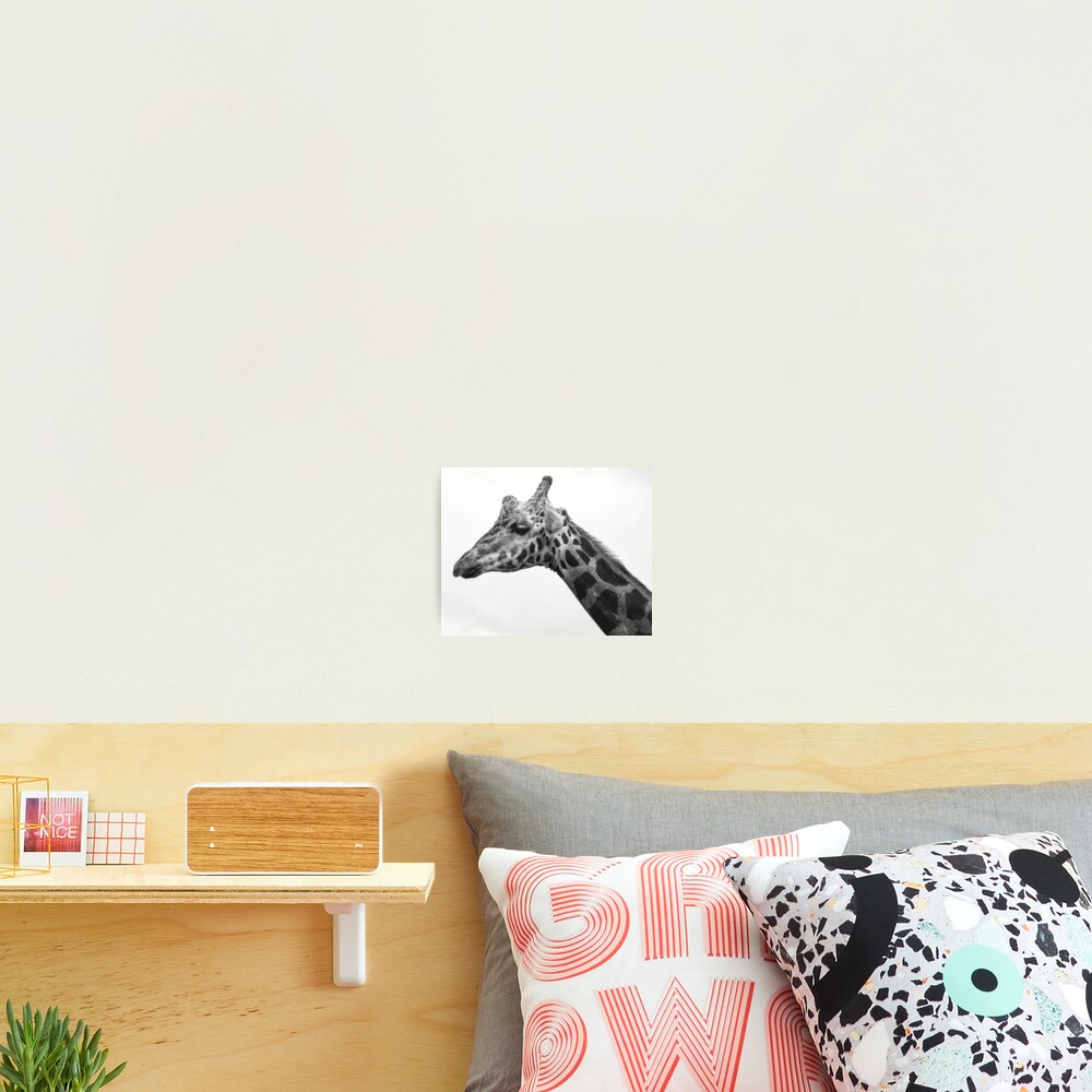 Vista previa del artículo con la obra «Lámina fotográfica», diseñado y vendido por ImbeccableImage.