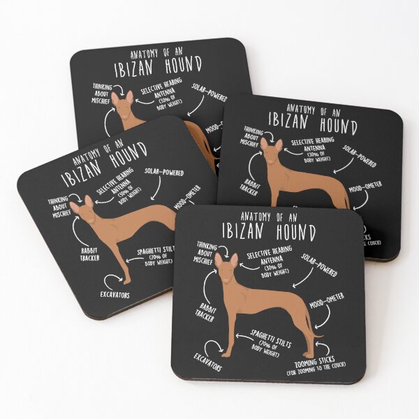 Item preview, Ibizan Hound Dog Anatomy designed and sold by Clara Hollins.