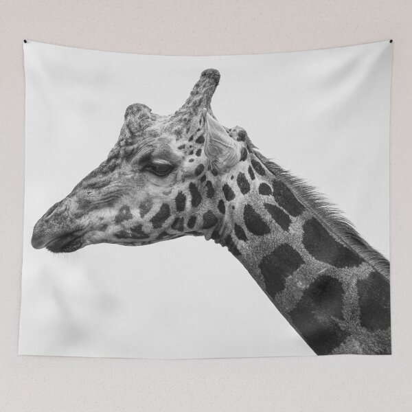 Item preview, Rothschild Giraffe designed and sold by Imbeccable Images.