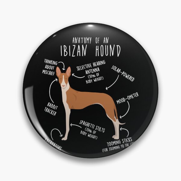 Item preview, Ibizan Hound Dog Anatomy designed and sold by Clara Hollins.