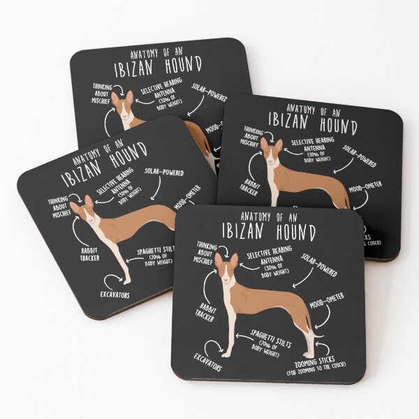Item preview, Ibizan Hound Dog Anatomy designed and sold by Clara Hollins.