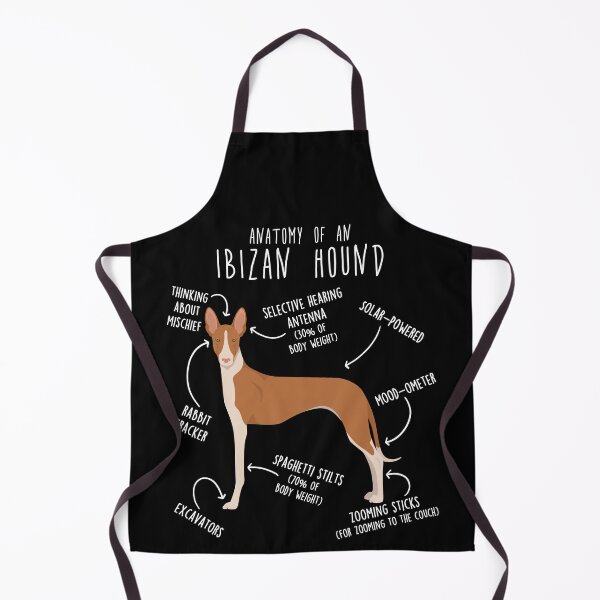Item preview, Ibizan Hound Dog Anatomy designed and sold by Clara Hollins.