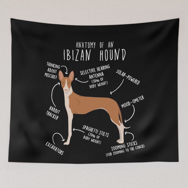 Item preview, Ibizan Hound Dog Anatomy designed and sold by Clara Hollins.