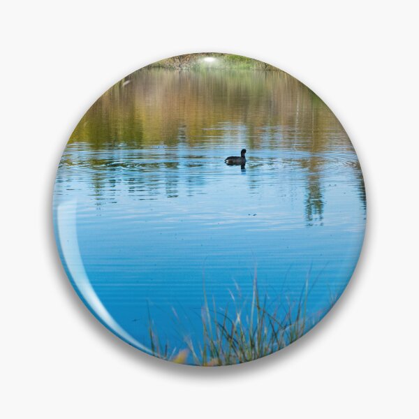 Item preview, Common American Coot designed and sold by CanadianWild418.