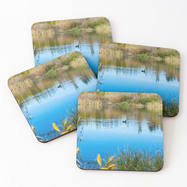 Item preview, Common American Coot designed and sold by CanadianWild418.