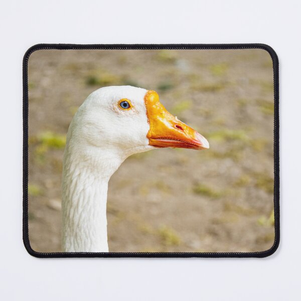 Item preview, Swan Goose designed and sold by Imbeccable Images.