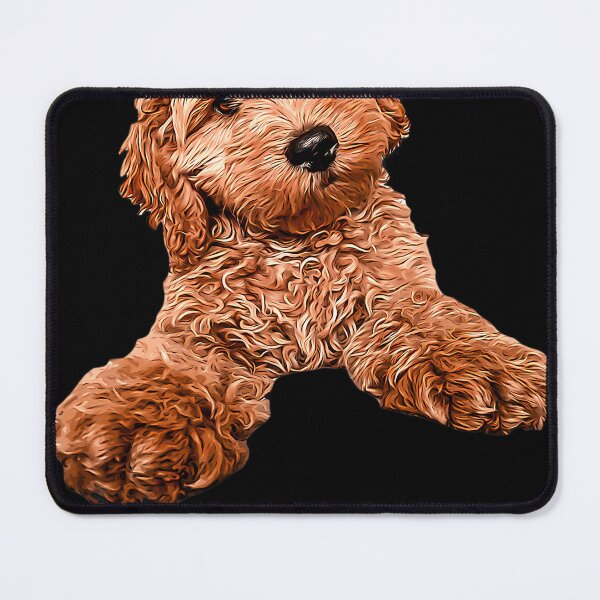 Item preview, Cavapoo Labradoodle Goldendoodle Poodle Mix designed and sold by TarjaTJauhof.