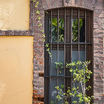 Artwork thumbnail, Window by Imbeccable Images