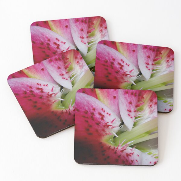 Item preview, Pink Throat designed and sold by Bev Woodman.