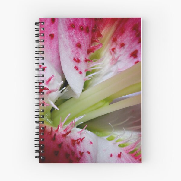Item preview, Pink Throat designed and sold by Bev Woodman.