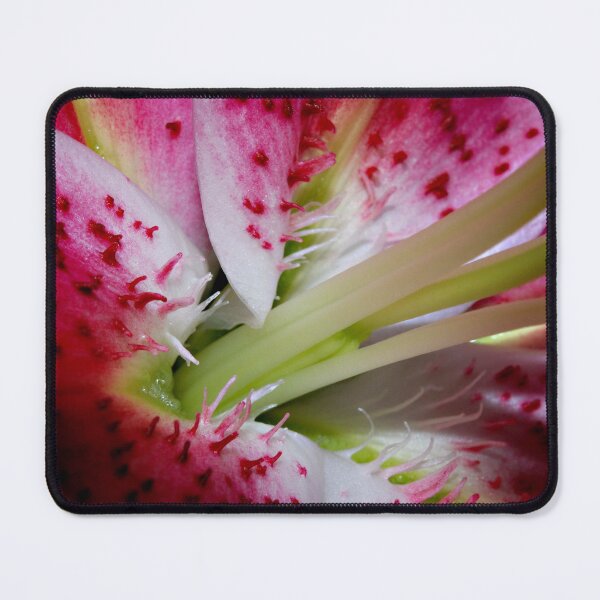 Item preview, Pink Throat designed and sold by Bev Woodman.