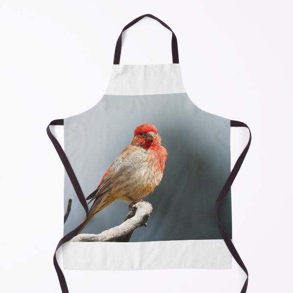 Item preview, House Finch on Manzanita Branch designed and sold by Wonders Of Paradise.