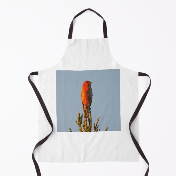 Item preview, House Finch During Sunrise designed and sold by Wonders Of Paradise.