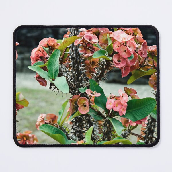 Item preview, The piquant beauty of Javanese nature designed and sold by franck380.