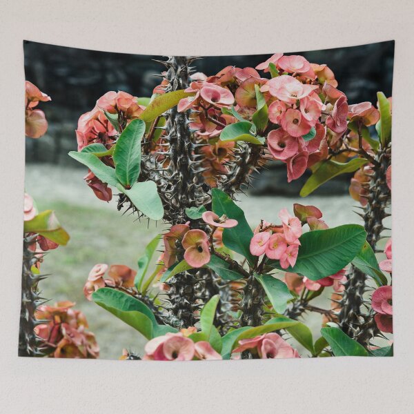 Item preview, The piquant beauty of Javanese nature designed and sold by franck380.