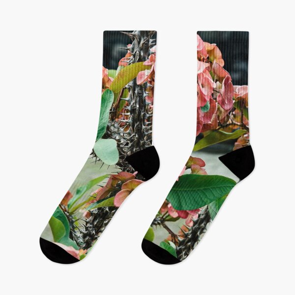 Item preview, The piquant beauty of Javanese nature designed and sold by franck380.