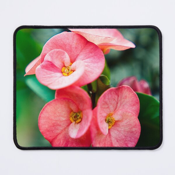 Item preview, Floral harmony at the foot of the sacred Javanese stones designed and sold by franck380.