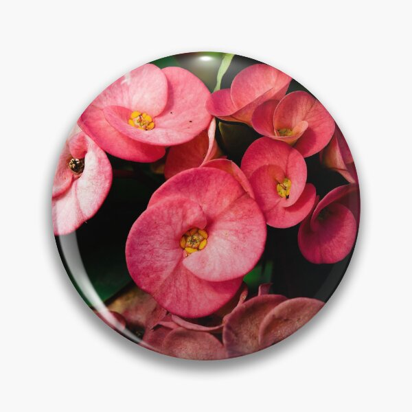 Item preview, Contrast between floral sweetness and ancient mystery designed and sold by franck380.