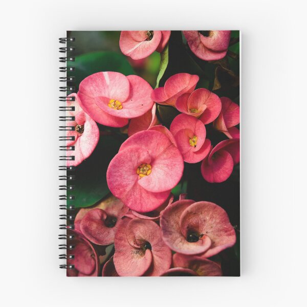 Item preview, Contrast between floral sweetness and ancient mystery designed and sold by franck380.