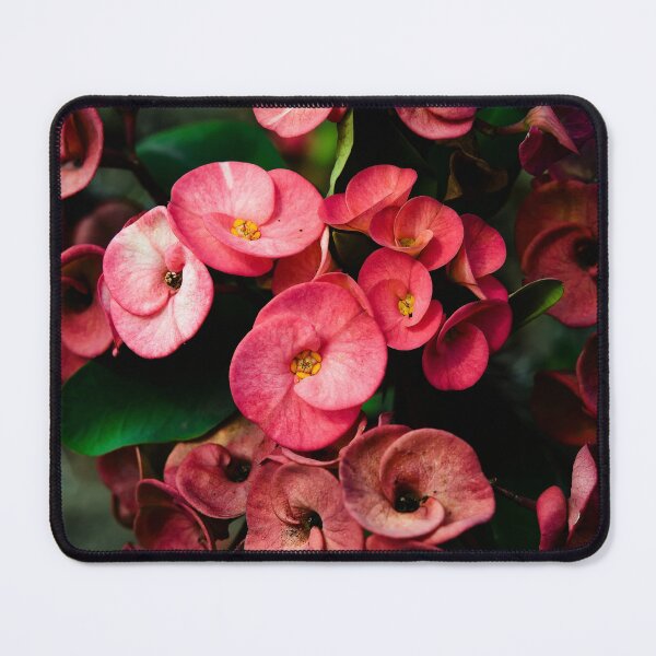 Item preview, Contrast between floral sweetness and ancient mystery designed and sold by franck380.