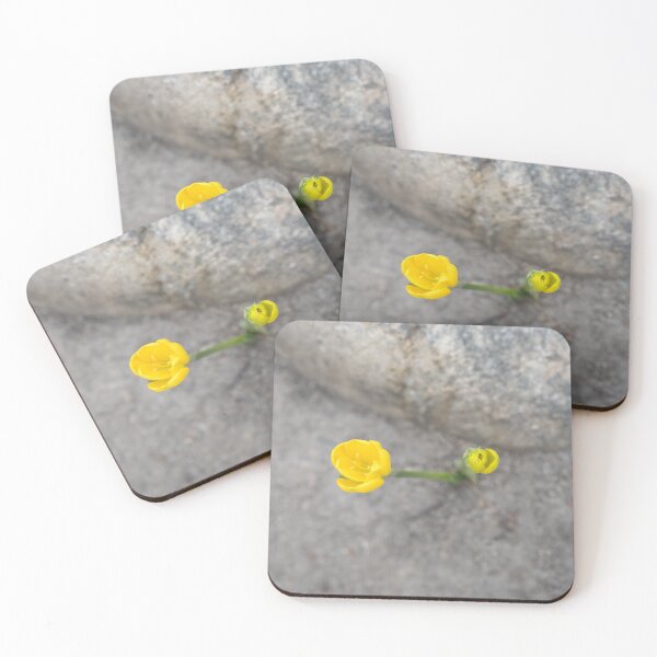 Item preview, Bold Yellow Crocuses Against Rocky Gray Background designed and sold by Georgia Mizuleva.
