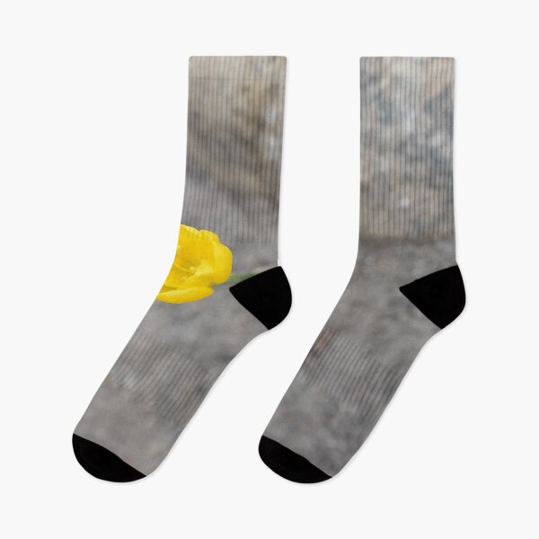 Item preview, Bold Yellow Crocuses Against Rocky Gray Background designed and sold by Georgia Mizuleva.