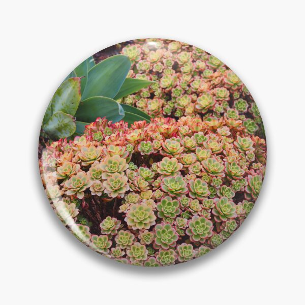 Item preview, Vibrant Succulent Garden designed and sold by Phakade's Photos.