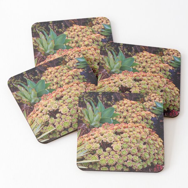 Item preview, Vibrant Succulent Garden designed and sold by Phakade's Photos.