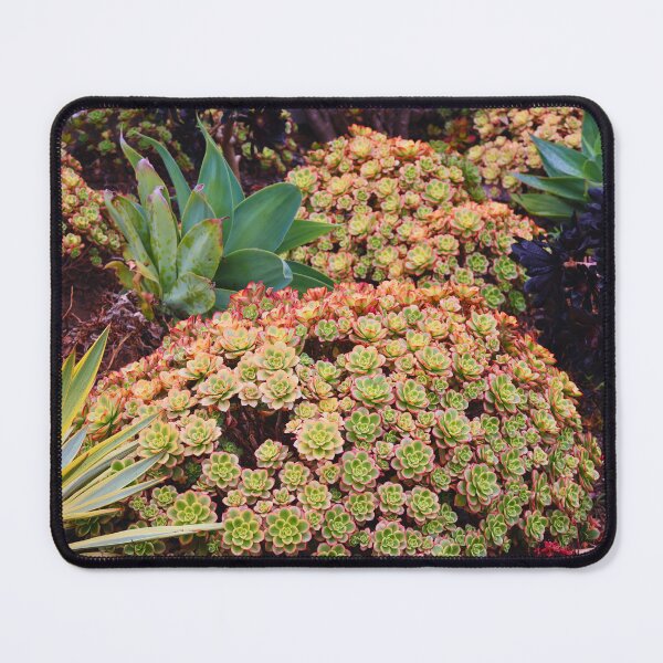 Item preview, Vibrant Succulent Garden designed and sold by Phakade's Photos.