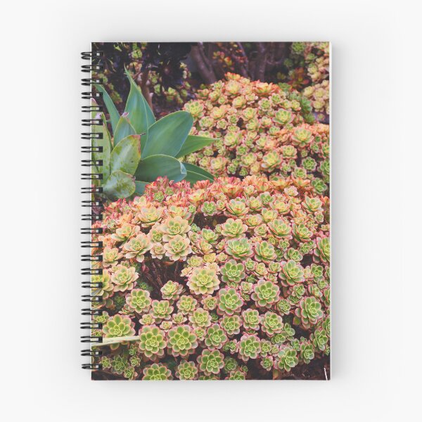 Item preview, Vibrant Succulent Garden designed and sold by Phakade's Photos.