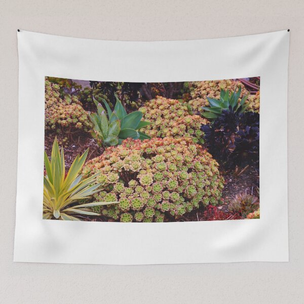 Item preview, Vibrant Succulent Garden designed and sold by Phakade's Photos.