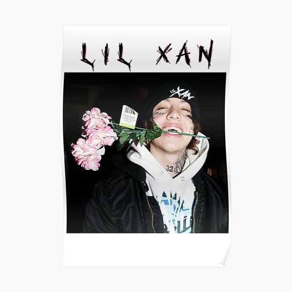 Lil Xan Hip Hop Rap Music Singer Rapper Star Poster 21 24x36 E-1647 