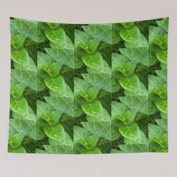 Item preview, After the storm designed and sold by CaliGirlTreasur.