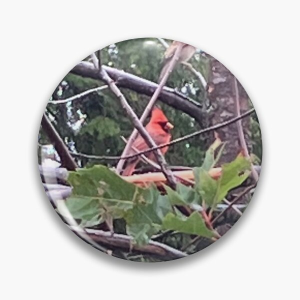 Item preview, Cardinal in a Thicket of Branches  designed and sold by Amanda1775.