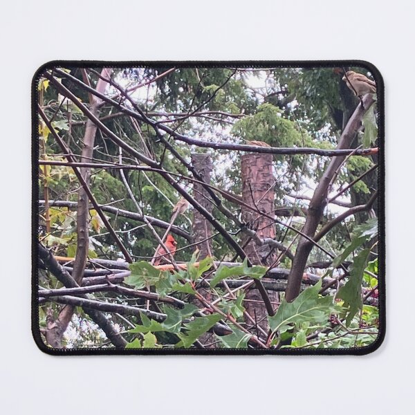 Item preview, Cardinal in a Thicket of Branches  designed and sold by Amanda1775.