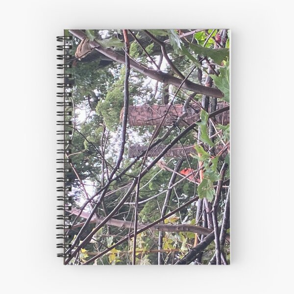 Item preview, Cardinal in a Thicket of Branches  designed and sold by Amanda1775.