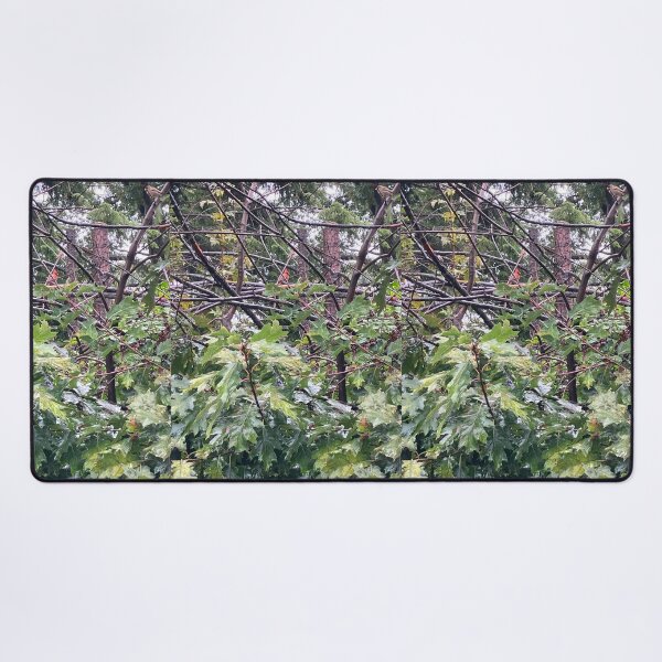 Item preview, Cardinal in a Thicket of Branches  designed and sold by Amanda1775.