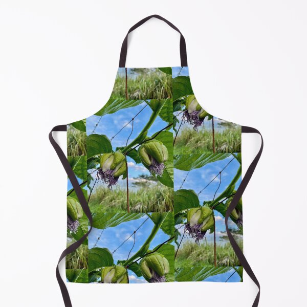 Item preview, Passionfruit Vine with Flowers and Green Pods designed and sold by TrisaThyme.