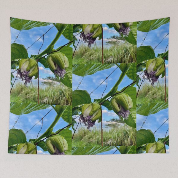 Item preview, Passionfruit Vine with Flowers and Green Pods designed and sold by TrisaThyme.