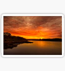 Huntington Beach State Park Sunset Sticker