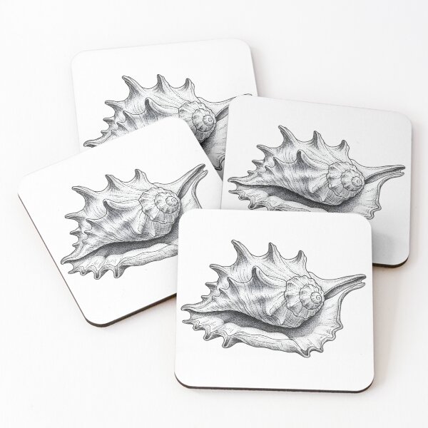 Item preview, Conch designed and sold by Naux | Design & Illustration.