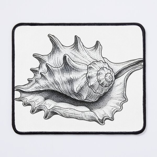 Item preview, Conch designed and sold by Naux | Design & Illustration.