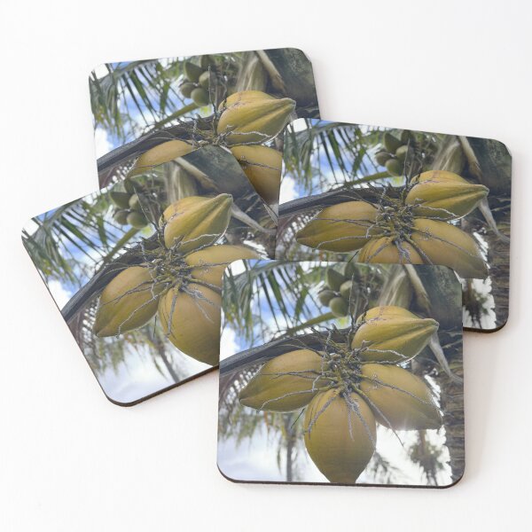 Item preview, “Coconuts Growing on Palm Tree” designed and sold by TrisaThyme.