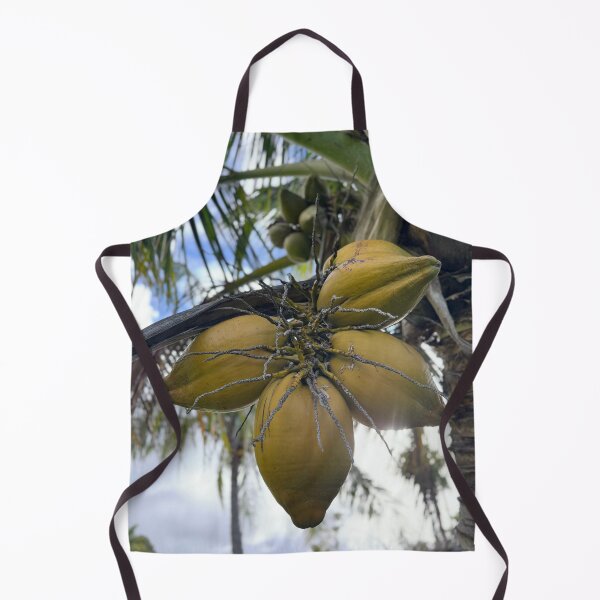 Item preview, “Coconuts Growing on Palm Tree” designed and sold by TrisaThyme.