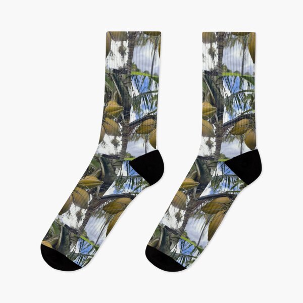 Item preview, “Coconuts Growing on Palm Tree” designed and sold by TrisaThyme.