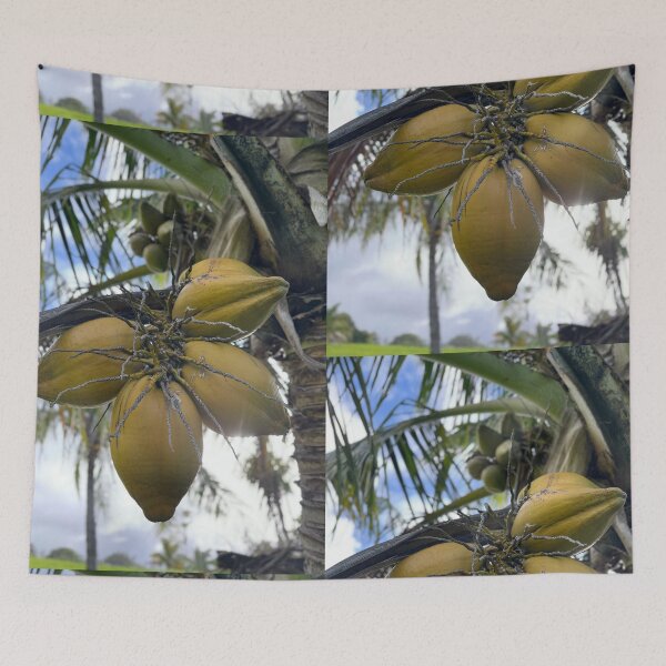 Item preview, “Coconuts Growing on Palm Tree” designed and sold by TrisaThyme.