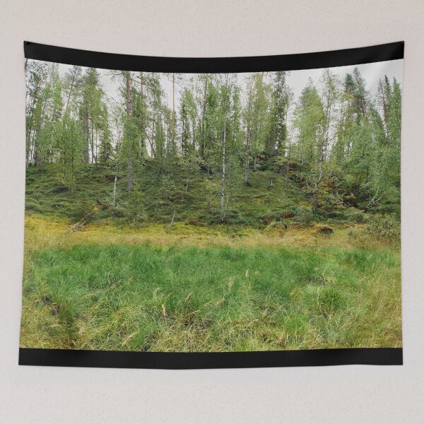 Item preview, Green spot. Kuusamo, Ristikallio designed and sold by Jouko Lehto Photography.