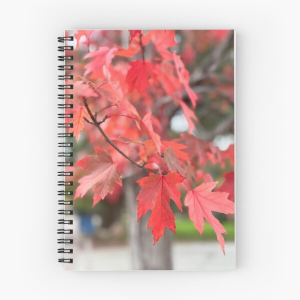 Item preview, Vibrant Autumn Maple Leaves designed and sold by lekhacitylight.