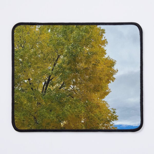 Item preview, Golden Autumn Tree Under Cloudy Sky designed and sold by lekhacitylight.