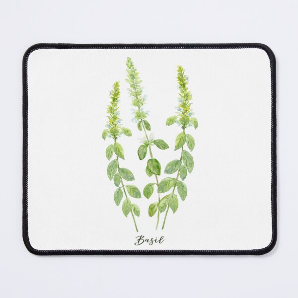 Item preview, Watercolor herb basil in flowers designed and sold by cornercroft.